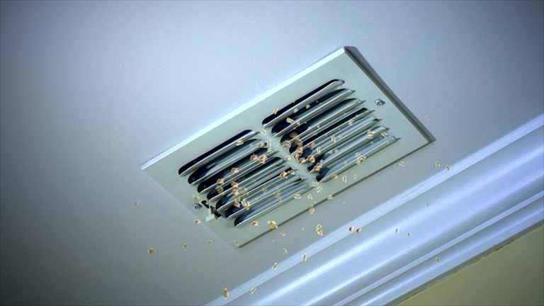 Best Commercial HVAC Duct Cleaning  in Alma, AR