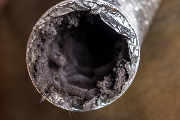 Best Air Duct Sanitizing Services  in Alma, AR